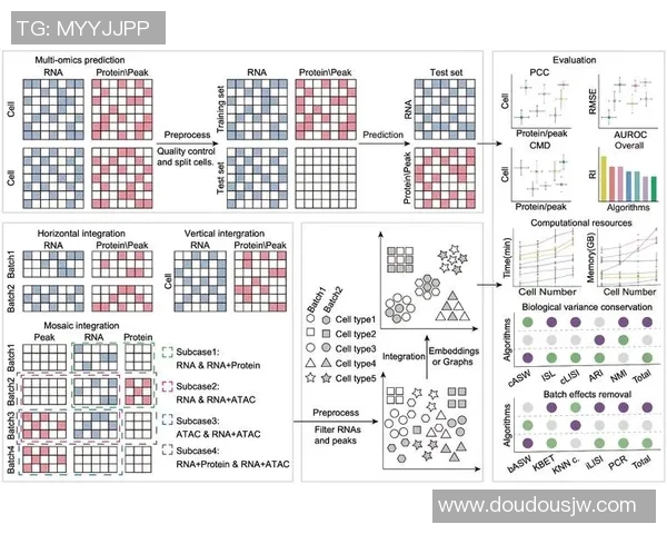 LNG在世界冠军杯中的心理素质分析与表现评估