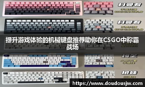 提升游戏体验的机械键盘推荐助你在CSGO中称霸战场